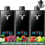 IGNITE V300 30000 Puffs Disposable Vape in Dubai Uae