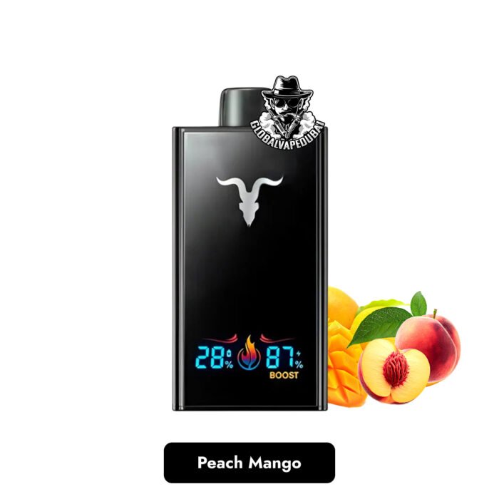 IGNITE V300 30000 Puffs Disposable Vape in Dubai Uae - Image 8