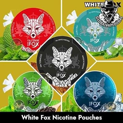 Buy White Fox Nicotine Pouches UAE
